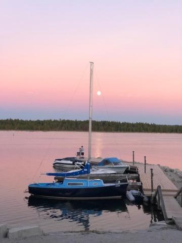 Tamarac Island Motel Stokes Bay Zewnętrze zdjęcie