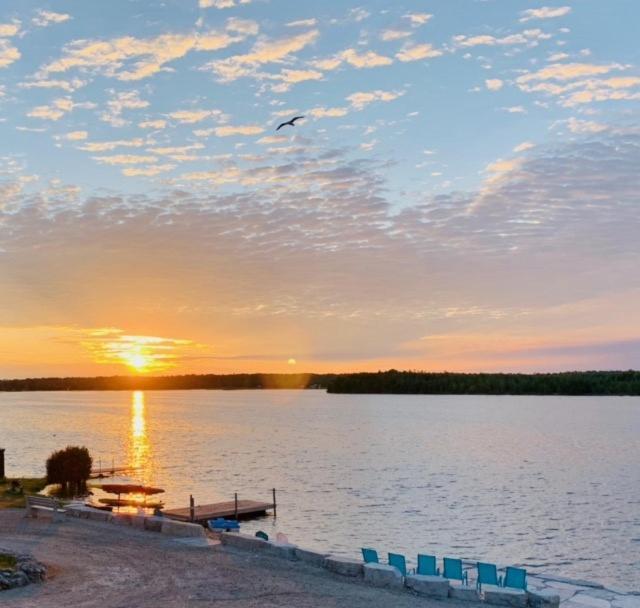 Tamarac Island Motel Stokes Bay Zewnętrze zdjęcie
